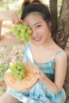 驯龙高手1普通话版免费